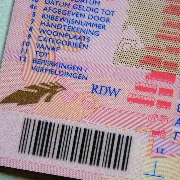Dit verandert er in 2025 aan je rijbewijs – zelfs als je er al één hebt!
