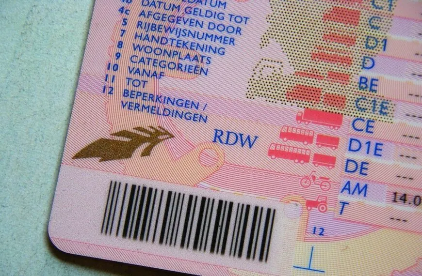 Dit verandert er in 2025 aan je rijbewijs – zelfs als je er al één hebt!