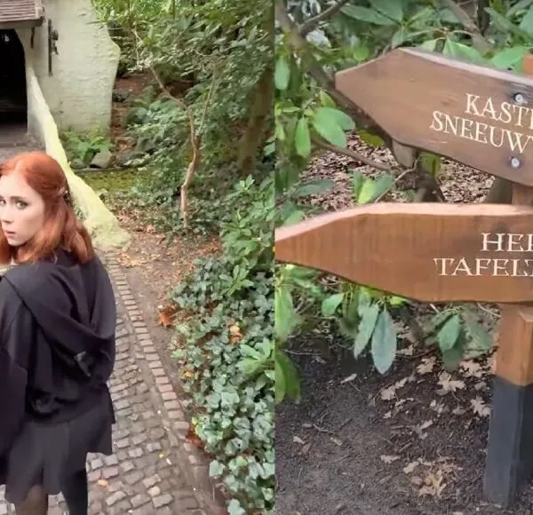Efteling woedend vanwege natuurfilm die opgenomen is in het Sprookjesbos!
