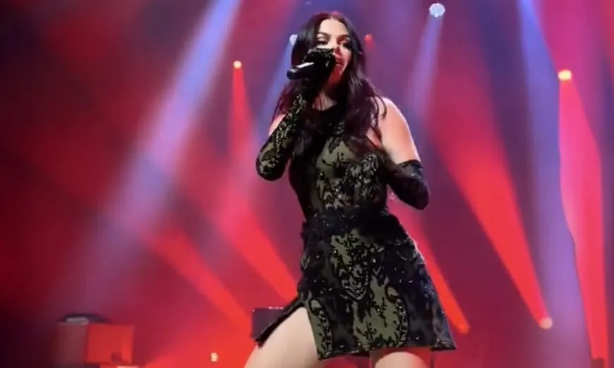 Davina Michelle laat zich onder haar rokje filmen door fan op eerste rij