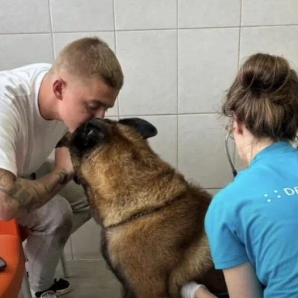 Mart Hoogkamer laat zijn hond Ciro controleren bij de dierenarts en krijgt triest nieuws te horen