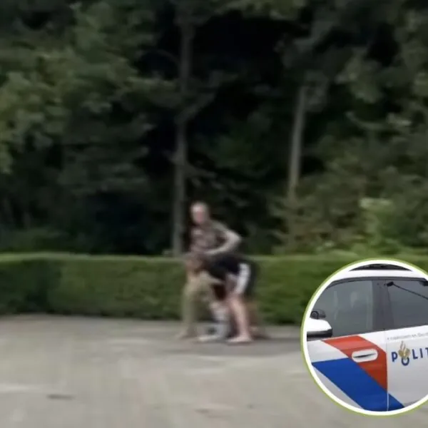 Nieuwe Nederlander probeert auto open te breken, maar ziet de eigenaar niet aankomen