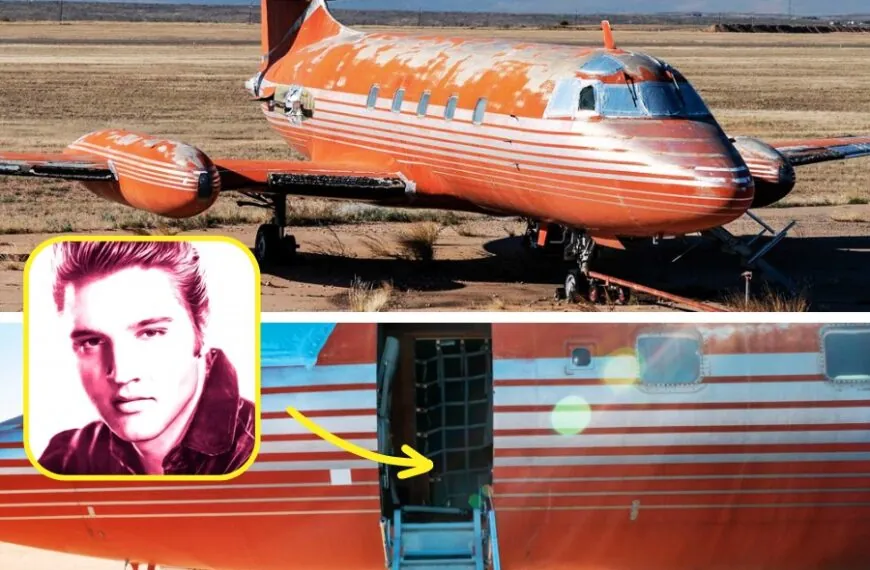 Het verlaten vliegtuig van Elvis Presley is eindelijk verkocht na jaren – Neem een kijkje van binnen