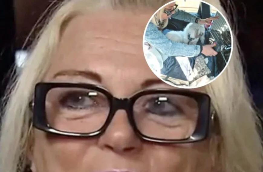 Monique Hansler onder vuur na gelekte beelden dat ze een katje mishandeld