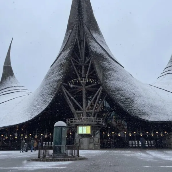 Vanaf 2026 ga je dit bizarre bedrag betalen voor een ticket bij de Efteling
