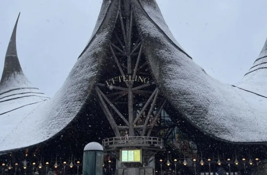 Vanaf 2026 ga je dit bizarre bedrag betalen voor een ticket bij de Efteling