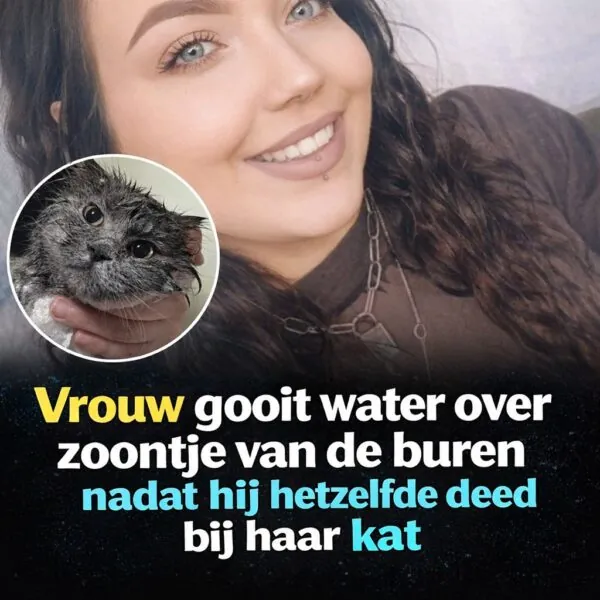 Vrouw giet water over de zoon van haar buurvrouw nadat hij hetzelfde had gedaan met haar kat