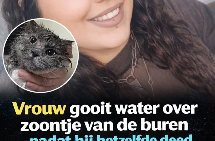 Vrouw giet water over de zoon van haar buurvrouw nadat hij hetzelfde had gedaan met haar kat
