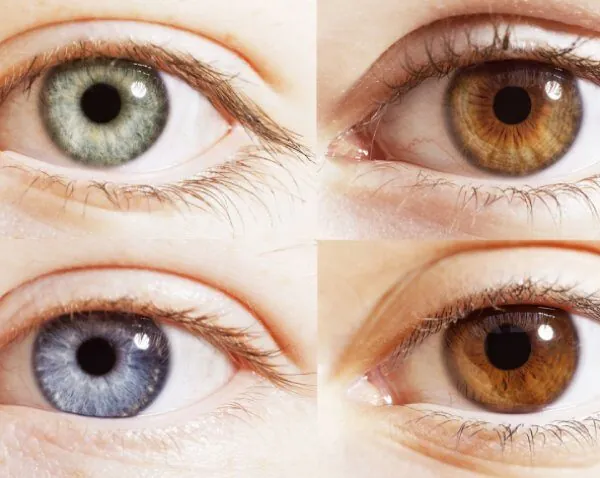 Wat de kleur van je ogen onthult over jouw persoonlijkheid!