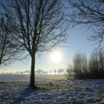 Weerman voorspelt: Op deze dag gaat het keihard sneeuwen